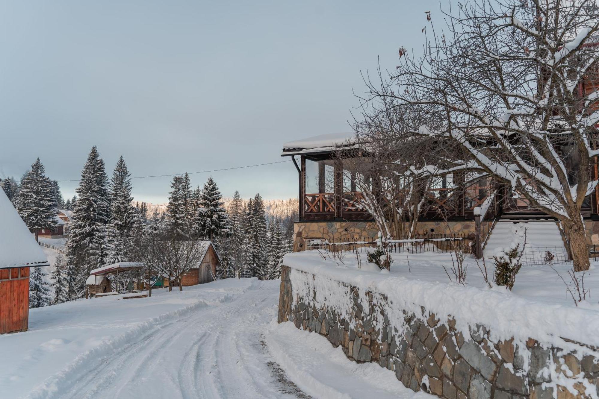 Гостьовий Дім "У Ані" Jablunyzja Exterior foto